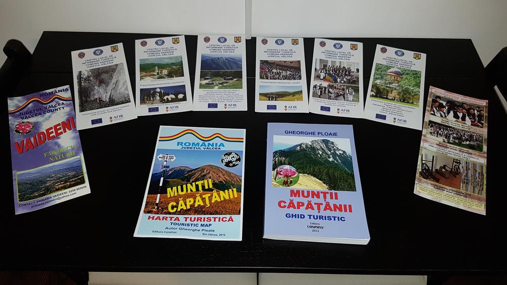Pensiunea Agroturistica Cerna, Vaideeni, Valcea 外观 照片
